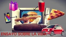 Ensayo sobre al vida