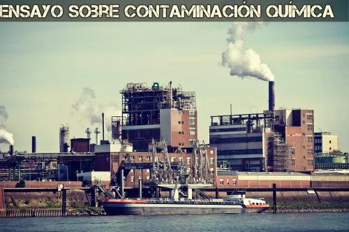 Ensayo sobre contaminacion