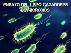 Ensayo del libro cazadores de microbios