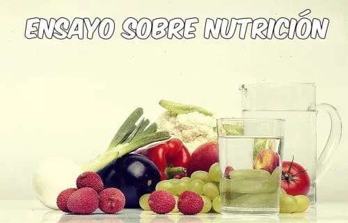 Ensayo sobre nutrición