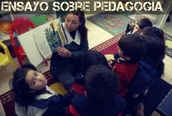 Ensayo pedagogía