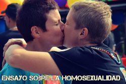 Ensayo sobre la homosexualidad