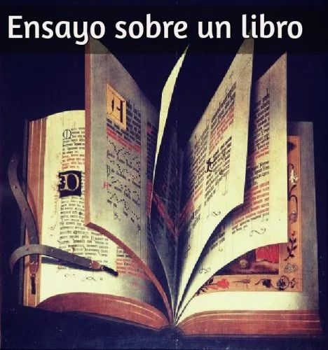 Ensayo sobre un libro