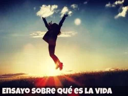 Ensayo sobre que es la vida